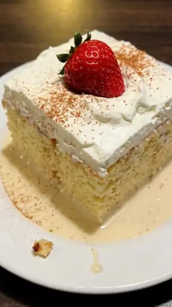 RePlate Studio output — Website